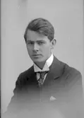 N. O. Ljung. Jacob Wennbergs järnaffär
