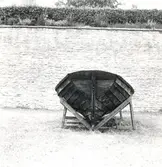 Storöka vid Kalmar slott.