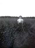 Troligen Nina Hammarskjöld i sädesfält i närheten av Tuna gård.