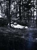 Läsande vilande damer i skogen i närheten av Tuna gård.