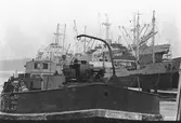 Fartyg på Ekensbergs varv 1970; i förgrunden oidentifierad pråm tillhörig Skåska Cementgjuteriet, i bakgrunden lastfartygen SVANSJÖ (urspr. FINKENWARDER), TONNA, MARIESTRAND (urspr. BLÁFELL) och BECKY.