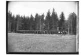 Demonstrationståget den 1 maj 1903, av Ekebergs stenhuggare.