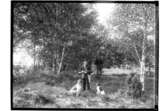 Jägare med två fågelhundar.
Evald Larsson