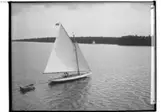 Segelsällskapet Hjälmaren.
Segelbåten 'Borghild' med jolle.