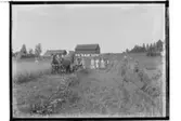 Skördebild, slåttermaskin dragen av två hästar.
Skördefolk och ekonomibyggnader i bakgrunden.
August Persson.