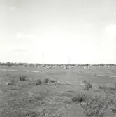 Vi alvar efter röjning.