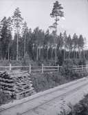 Ett järnvägsspår, staket och vedtrave i skogen i närheten av Tuna gård.