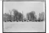 Slädparti vid Oskarsparken. Bilden tagen från Stortorget. 
8 slädar med hästar.