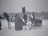 En kvinna med två hästar spända för slädar. I närheten av Tuna gård.