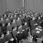 Frälsningsarméns kampanj.
21 januari 1956.