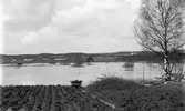 Översvämning i Hästboån. Gamla smedjan i mitten och till höger Tjernelds. Den 25 september 1927