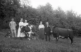 I hagen med korna