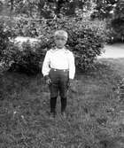 Pojke i trädgården






