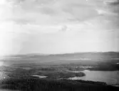 Vy över ett skogslandskap





