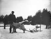 Man med draghund och sparkkälke.