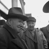 Skinnmässa.
26 januari 1956.