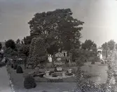 Widebergs trädgård