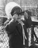 Trollhättan, Spikön. Kerstin.