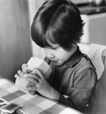 Kerstin tittar på diabilder.