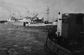 Fartyg på Ekensbergs varv 1970; i bakgrunden ses lastmotorfartygen TONNA i lilla dockan närmast, BECKY i stora dockan bakom samt SVANJÖ (urspr. FINKENWARDER); bogserbåten i förgrunden har inte identifierats.