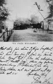 Bref-kort till Fröken Sivan Krook i Skövde, tidigt 1900-tal. Motiv från Värnamo.