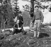 Orientering, Vikingafejden.