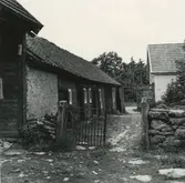 Carl Petterssons gård. Boningshuset till höger, vagnsskjulet till vänster.