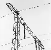 Västra Tunhem, augusti 1958. 