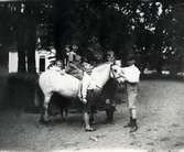 Sven, Sigrid på hästen Stumpan, Tore, Hans och Lars.