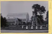 Palmhuset i Trädgårdsföreningen i Göteborg, förmodligen 1890-tal.