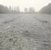 Foto:Amanuens B-M.Hammarskiöld sept 1967
Före undersökningen från norr.