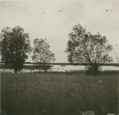 Mossen.? I Frösslunda.