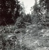 Gammal gångväg till Arby kyrka.