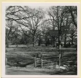 Jutehagen i Ingamåla.