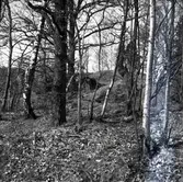 Kulturlandskap i Mörlunda socken. Vid landsvägen vid Kungsö. Rester efter gammal äng. Skräple äng?