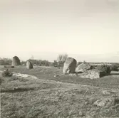 Parti av gravfältet på Holmetorp 4:3.