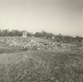 Parti av gravfältet på Holmetorp 4:3. Foto från sydväst. I förgrunden resterna av ett odlingsröse, borttaget till vägfyllnad.