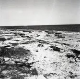 Stranden vid Sandby borg.