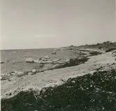 Strandparti vid den fridlysta Adonis-ängen.