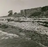 Strandparti vid den fridlysta Adonis-ängen.