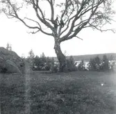 Lunds kulla. Utsikt mot sjön Krön.