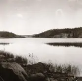 Vid Mörtfors på vägen mot Bjurvik.