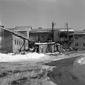 Bergslagsnumret. 
Mars 1956.