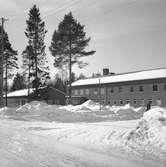 Bergslagsnumret. 
Mars 1956.