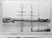 The barque  DIANA 73 tons, at the Port of Launceston, Tasm. Kopia. Devars.