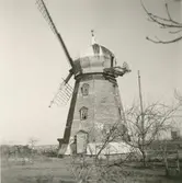 Holländsk kvarn strax ovanför vägskälet mellan stora landsvägen och Färjestadsvägen. Under reparation våren 1957. Vid en senare reparation har spånet på taket ersatts med plåt.