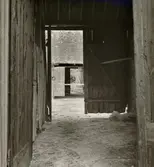 Fägården sedd från nedergården genom portskjulet mot öster.