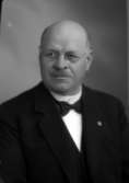 Ateljébild på en man i glasögon, kavaj, skjorta och slips. Enligt Walter Olsons journal är bilden beställd av herr A Werner.