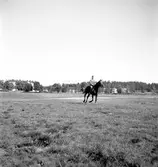 Sundstedt, Juni 1944