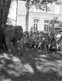 Cirkusföreställning på Lasarettet. September 1944

